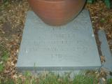 image of grave number 237188